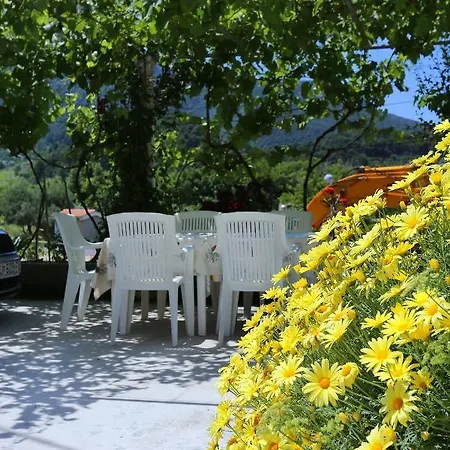 With Parking Space Zuljana, Peljesac - 252 Žuljana